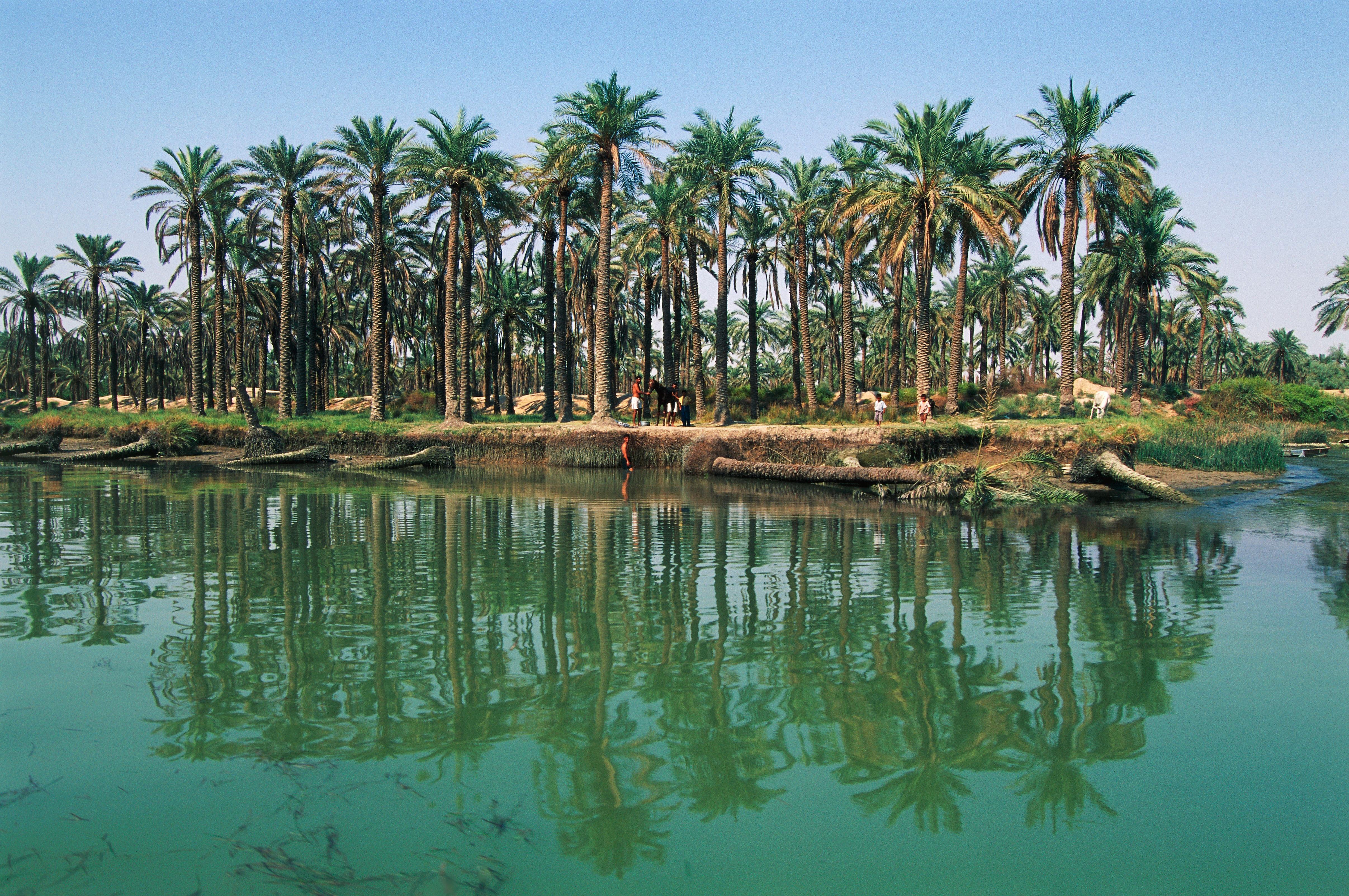 Шатт-Эль-араб река