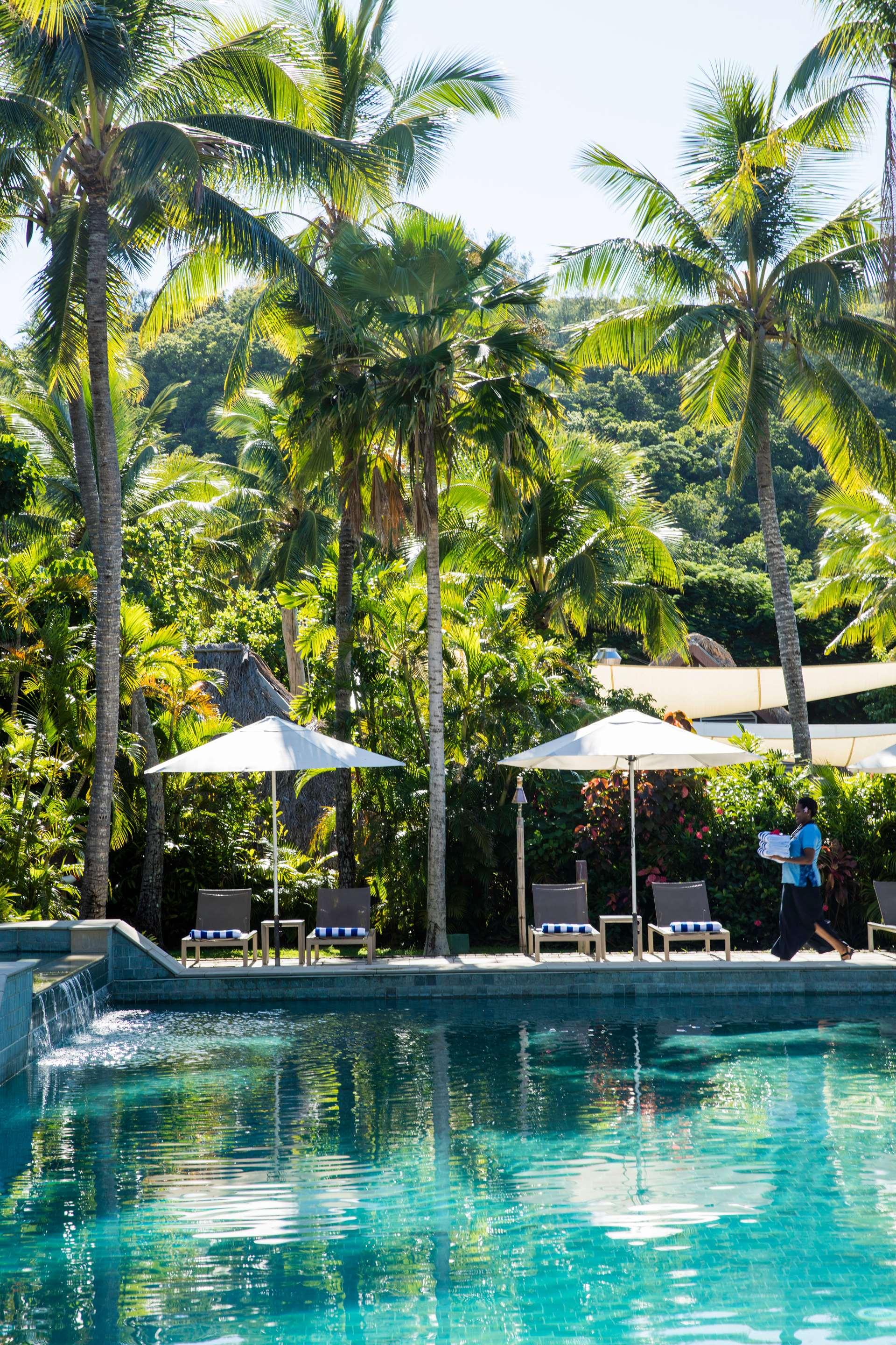 ice-178714-99444830-847393 Castaway Island, Fiji