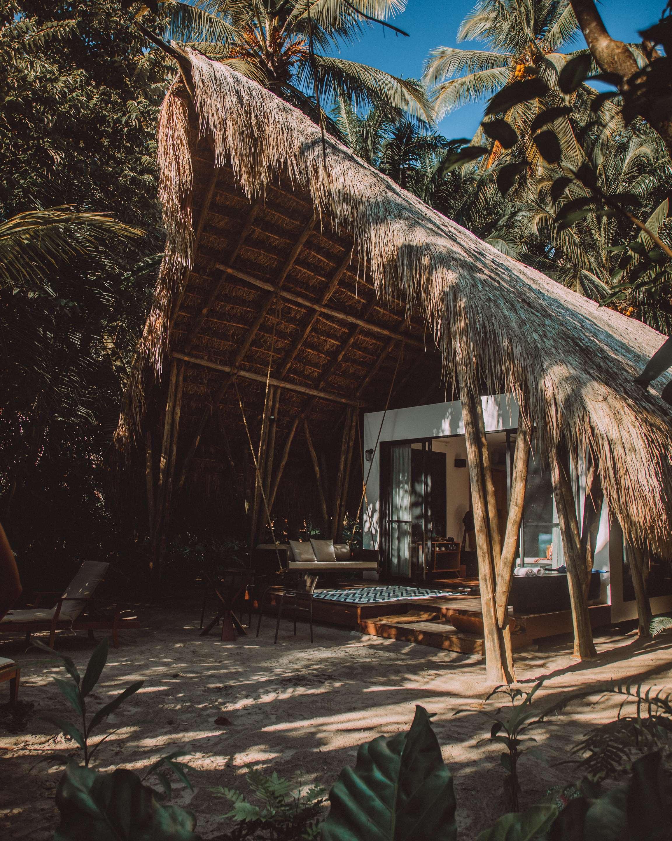 ice-2051244-21ddd1-784707 Isla Palenque