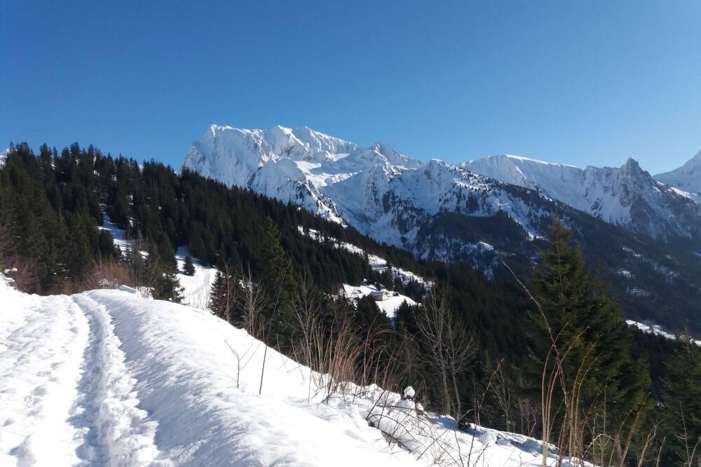 Chalet with panoramic view, access to the slopes via free shuttle at 100 meters. Rhône-Alpes - Manigod visuel 5/5 Chalet with panoramic view, access to the slopes via free shuttle at 100 meters. Rhône-Alpes - Manigod visuel 5/5