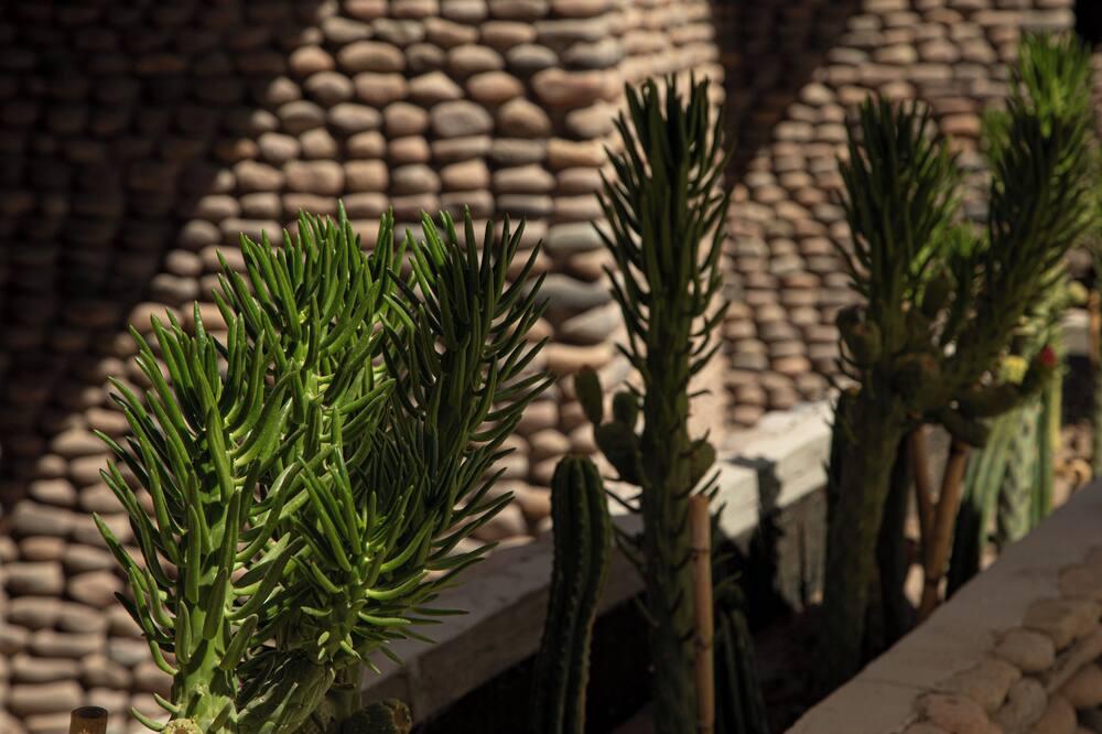 expediav2-154350-3b04c9-480952 Terrantai Lodge
