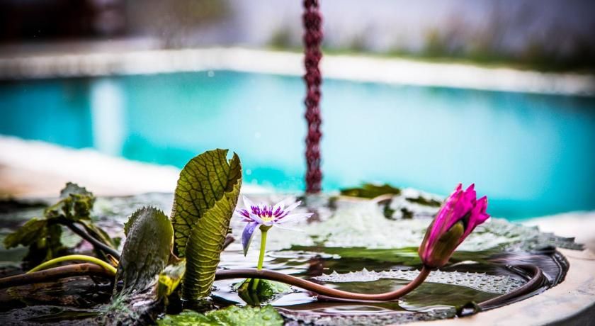 Infinity of Sri Lanka