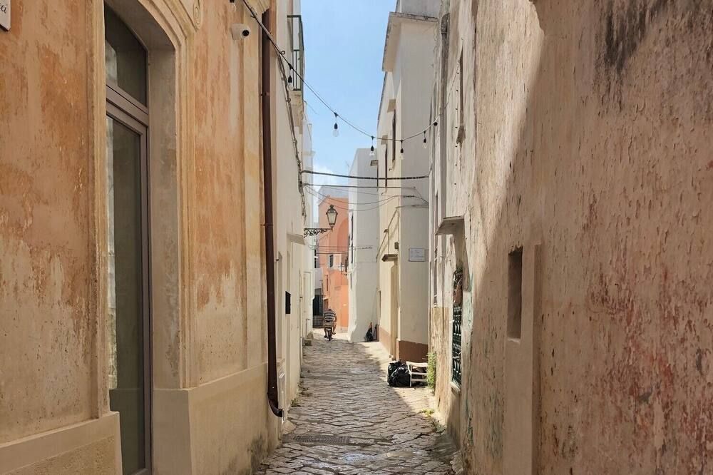 Palais Gentile Matino