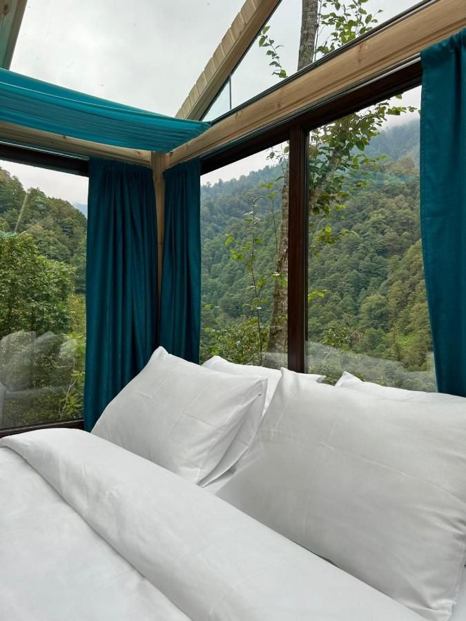 Skydoorცისკარი