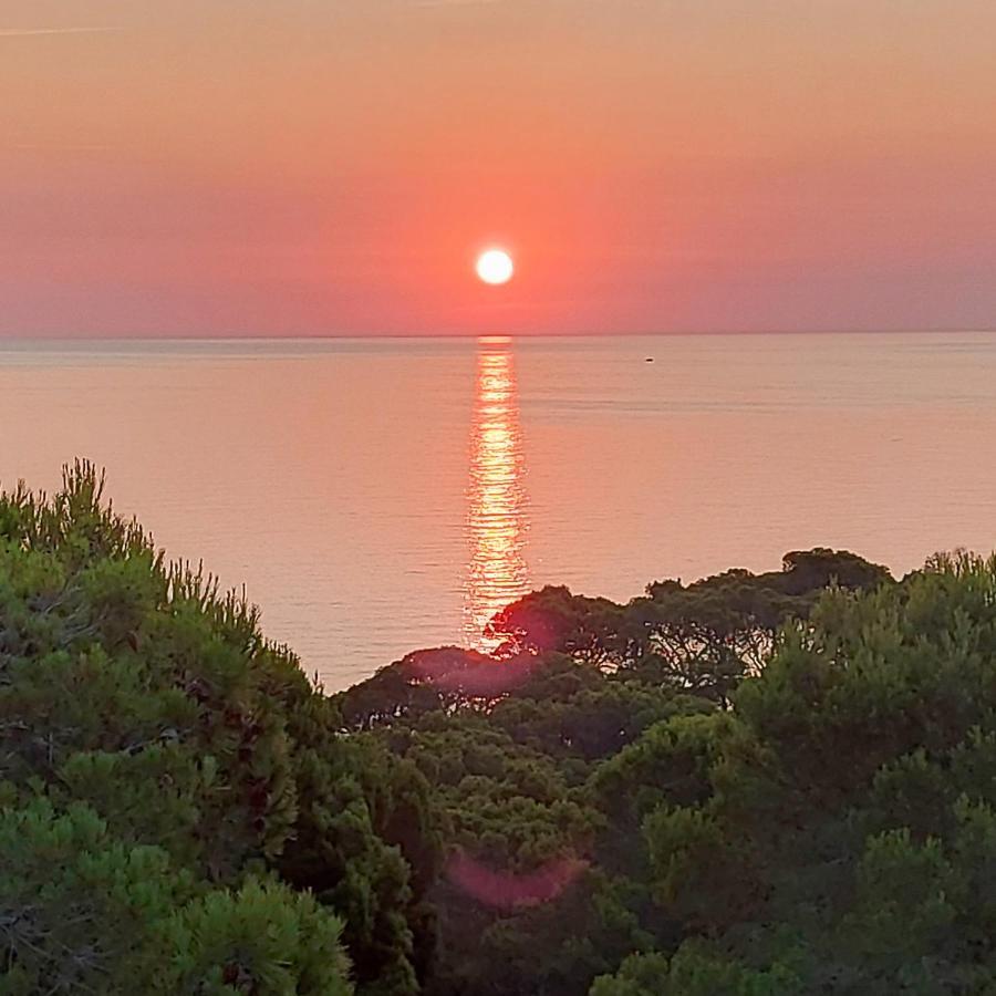 Villa Falconiere Costa Brava - Palafrugell visuel 4/5 Villa Falconiere Costa Brava - Palafrugell visuel 4/5