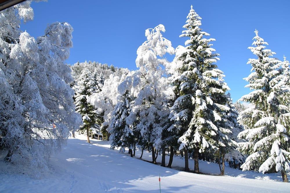 Luxury Chalet Ski-In / Ski-Out. Free Wifi, Sauna And Beautiful View !!! Rhône-Alpes - Oz-en-Oisans visuel 5/5 Luxury Chalet Ski-In / Ski-Out. Free Wifi, Sauna And Beautiful View !!! Rhône-Alpes - Oz-en-Oisans visuel 5/5