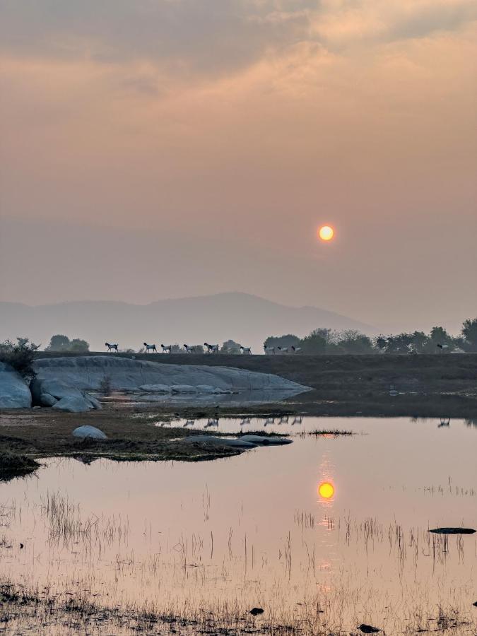 booking-1072273823-637335597-064344 The Beehad Sariska