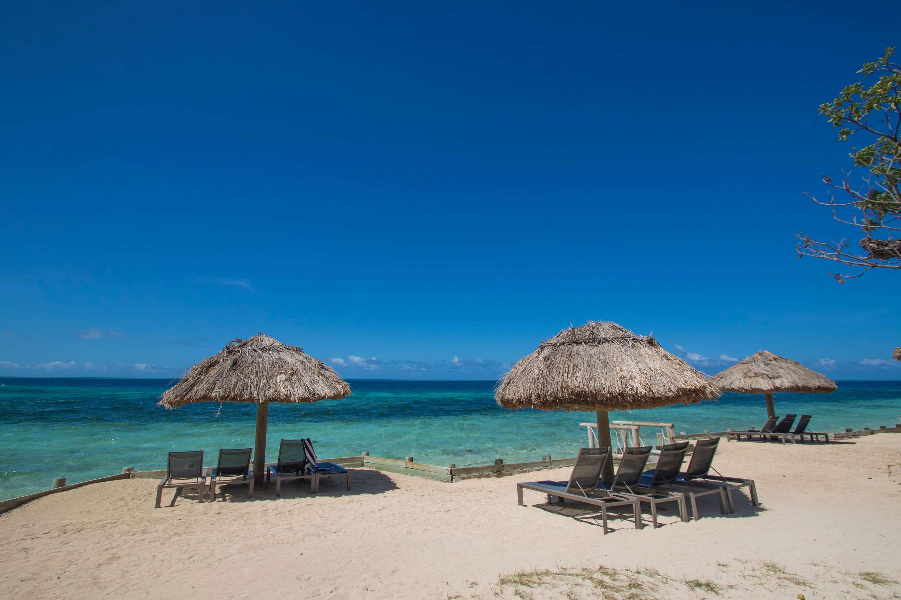 ice-178714-99444930-941715 Castaway Island, Fiji