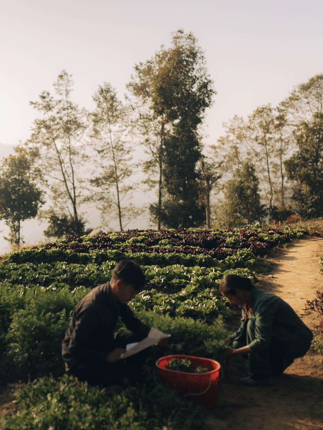 Dwarika's Resort - Dhulikhel Wellbeing Escape in the Himalayas