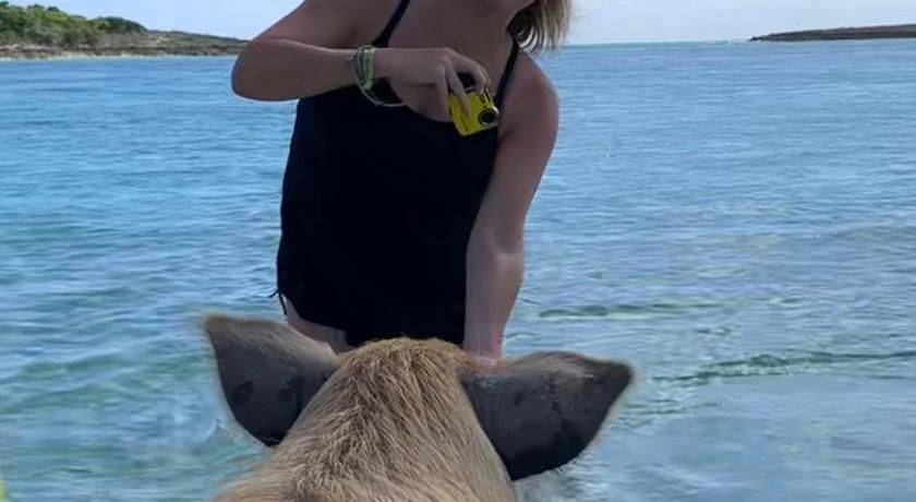 Water's Edge Villa - Oceanfront with Private Pool