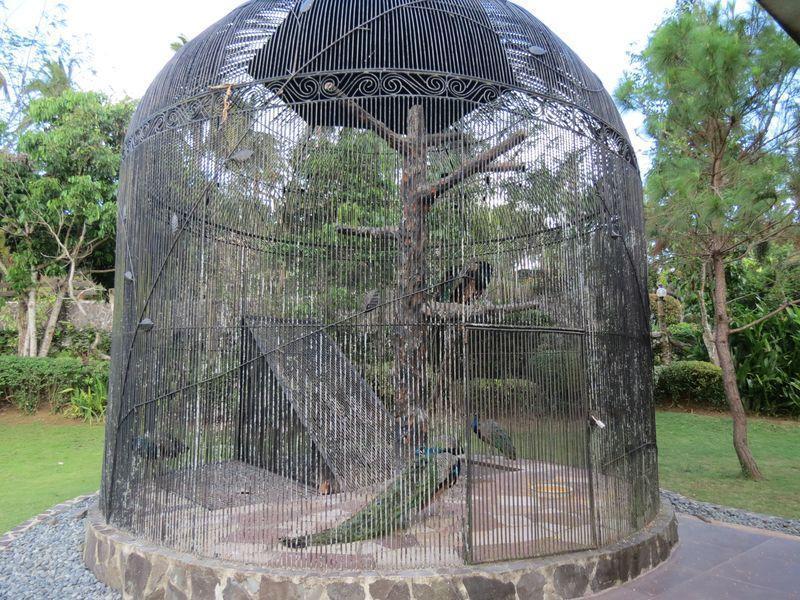 agoda-660873-25536409-736148 Cintai - Coritos Garden Hotel