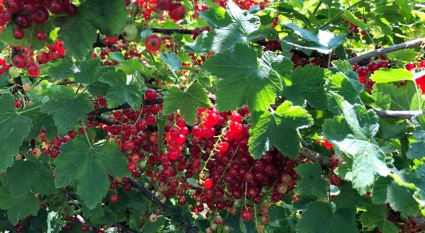 Le Galvani Basse-Normandie - Honfleur visuel 4/5 Le Galvani Basse-Normandie - Honfleur visuel 4/5