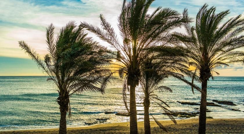 IRIS Nº 131 Benalmadena