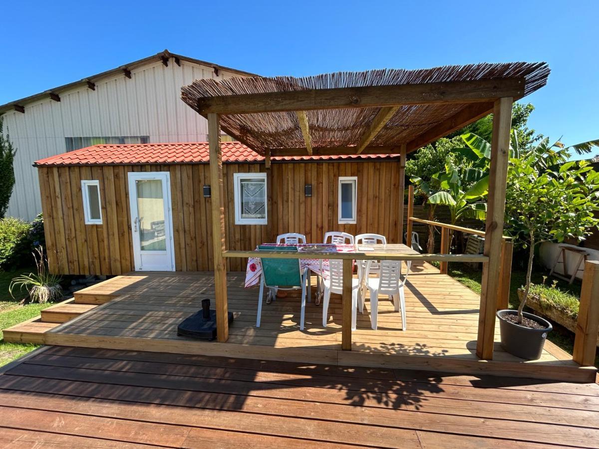 Chalet de jardin, piscine Aquitaine - Seignosse visuel 1/5 Chalet de jardin, piscine Aquitaine - Seignosse visuel 1/5