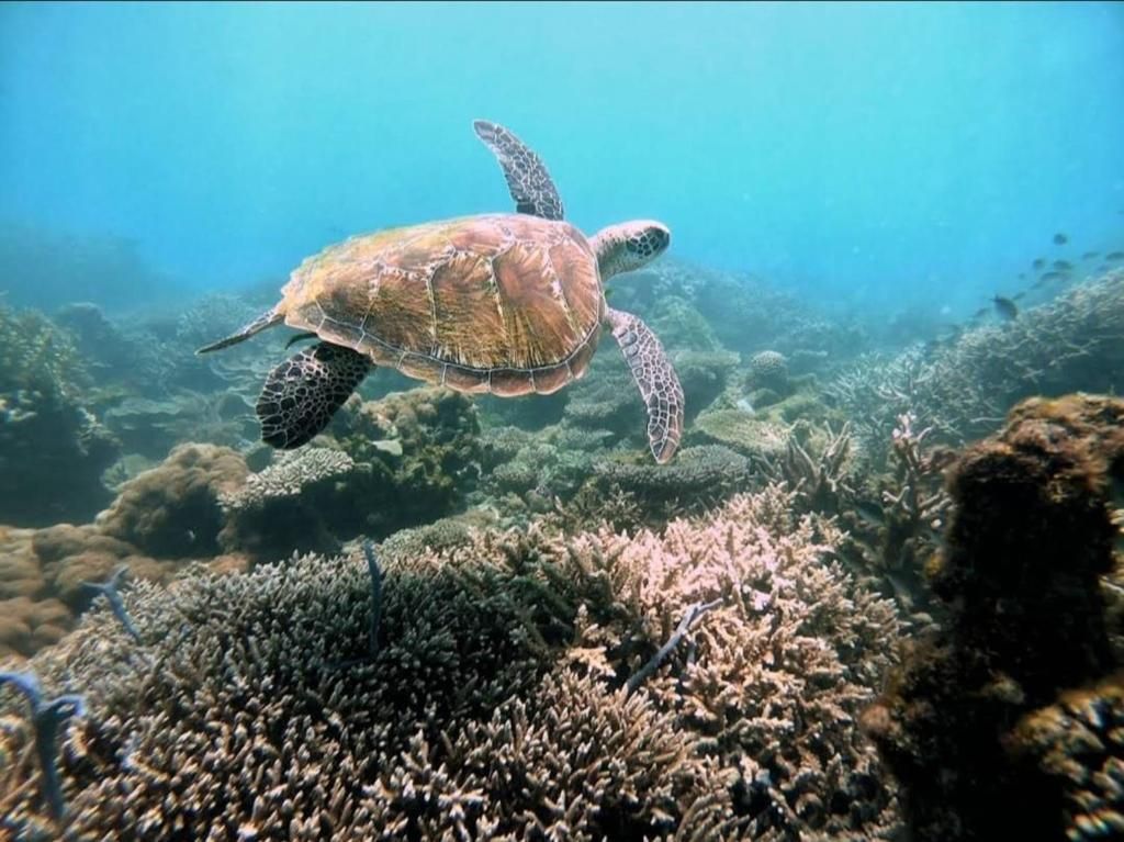 Tiande Boutique Hotel