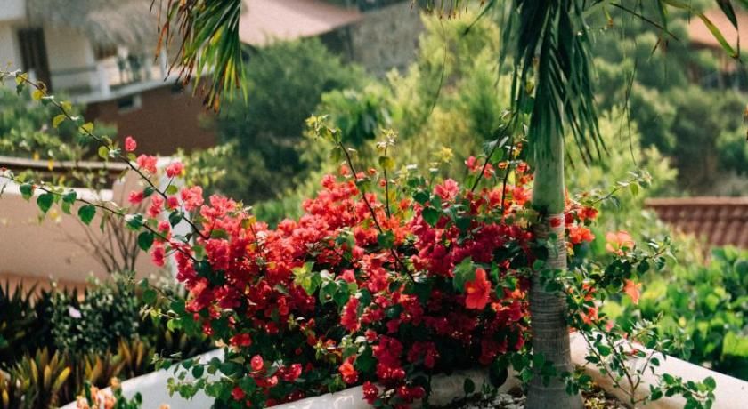 Hotel Boutique casa la Malagueña