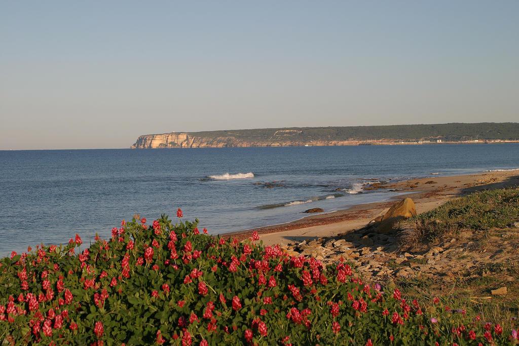 Finca El Abuelo Andalousië - Barbate visuel 5/5