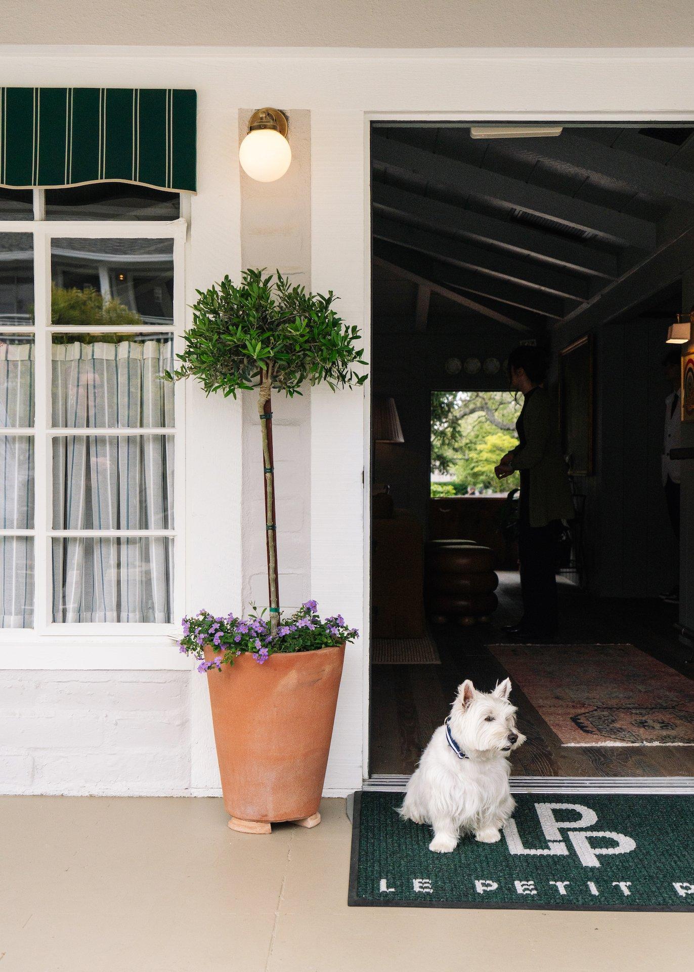 Le Petit Pali at Ocean Ave