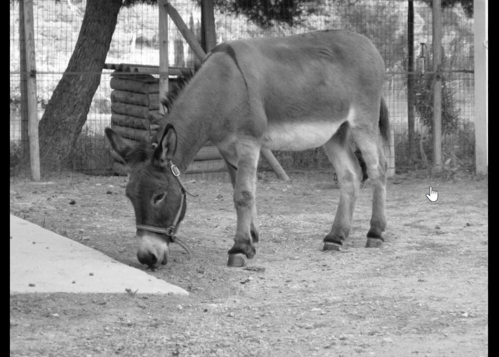 Le Mazet de la Dame Provence-Alpes-Côte d'Azur - Barbentane visuel 5/5