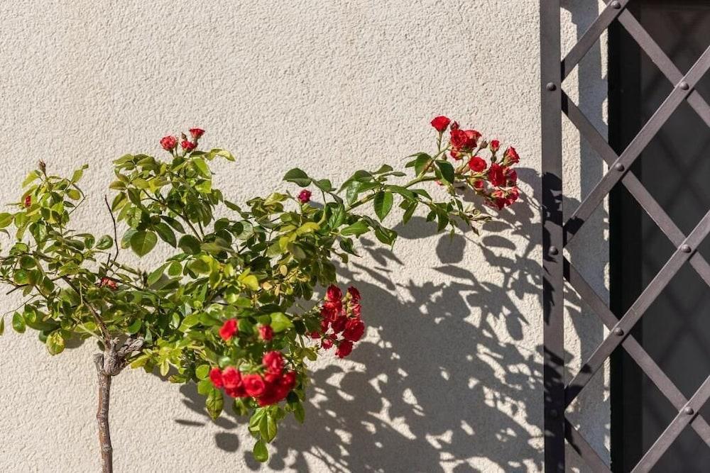 Heritage Hotel Maskovica Han