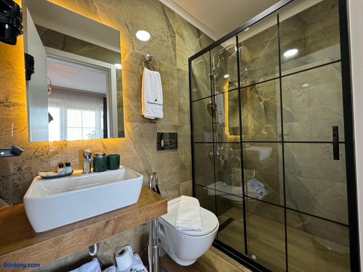booking-1071604422-573887098-830336 Treekos Suite Hotel Istanbul Airport