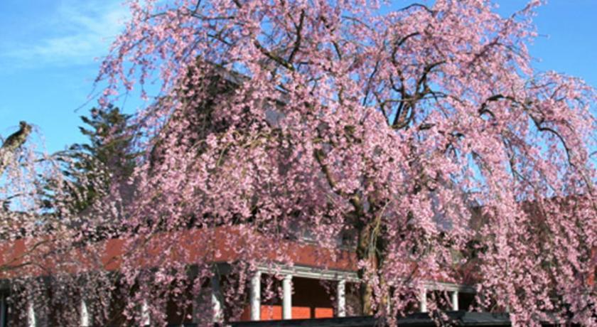 Kyukamura Nyuto-Onsenkyo