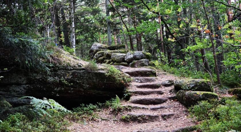 Gite Habsiger Alsace - Ottrott visuel 2/5