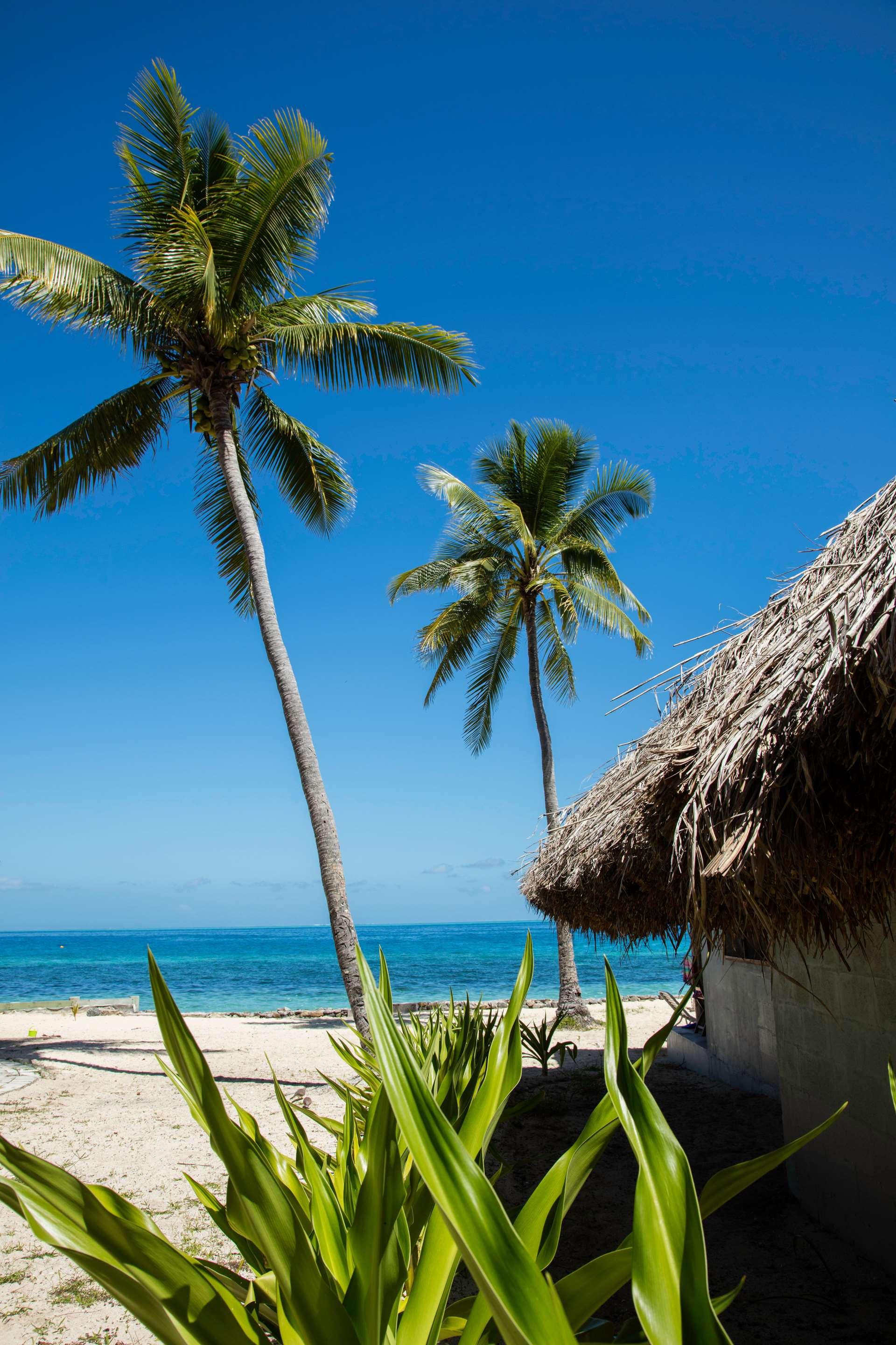 ice-178714-99444977-817882 Castaway Island, Fiji