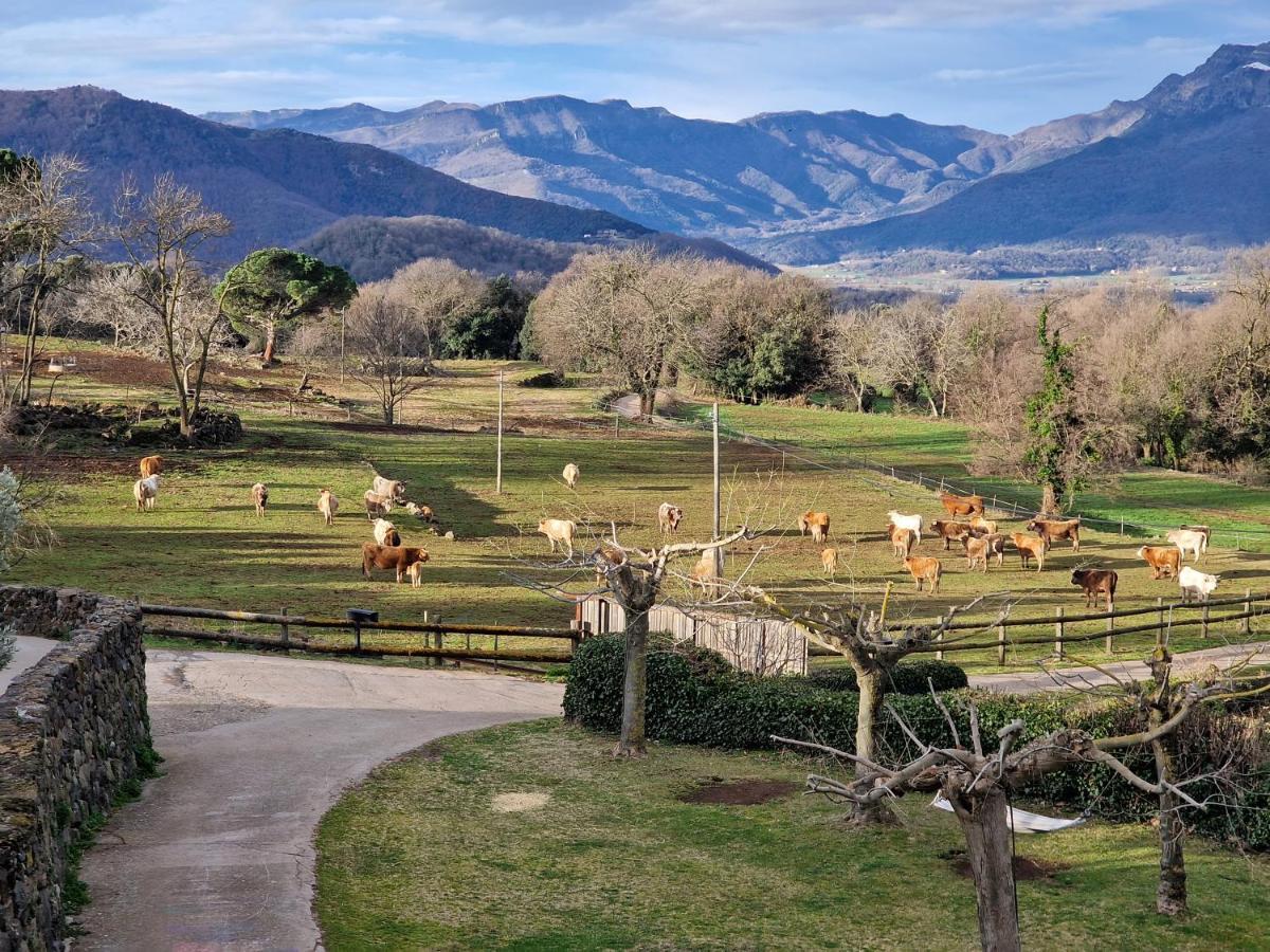 La Cabanya del Mas Casamitjana Catalonië - Olot visuel 3/5 La Cabanya del Mas Casamitjana Catalonië - Olot visuel 3/5