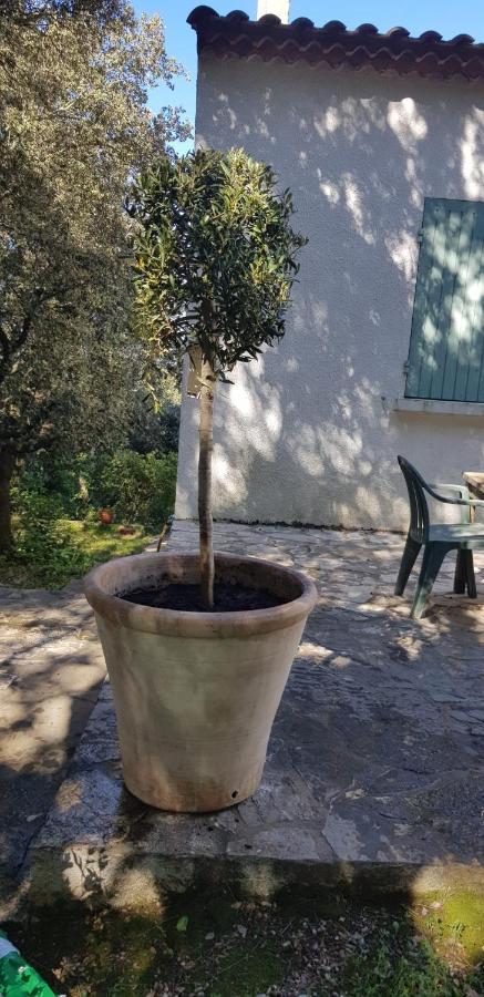 Belle villa piscine Provence Uzes Languedoc-Roussillon - Saint-Victor-des-Oules visuel 4/5 Belle villa piscine Provence Uzes Languedoc-Roussillon - Saint-Victor-des-Oules visuel 4/5