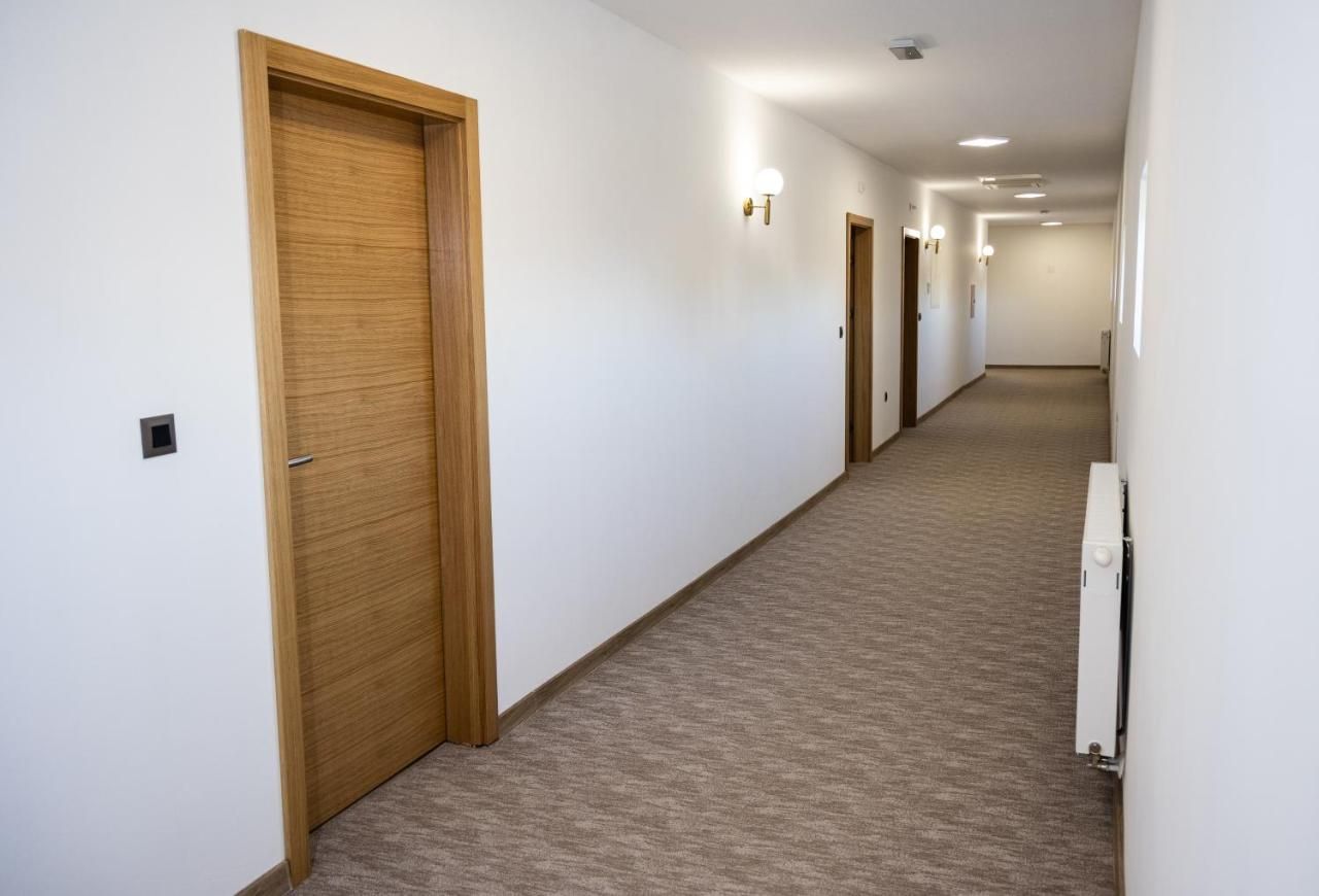 Pansion Mihića dvori