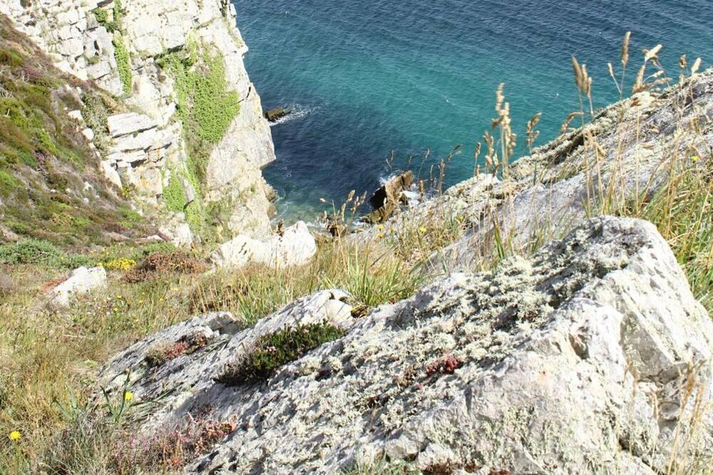 Hostellerie De La Mer Bretagne - Crozon visuel 5/5 Hostellerie De La Mer Bretagne - Crozon visuel 5/5