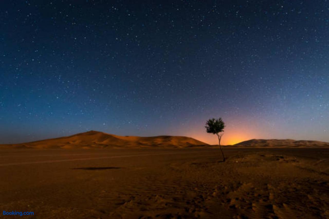 booking-1072059223-464126901-842543 Desert Paradise Luxury Camp