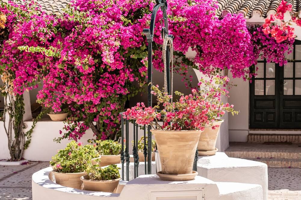 Hacienda de San Rafael