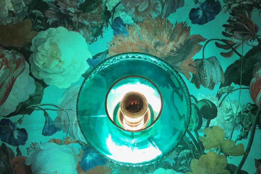 Hôtel Alcyon Aquitaine - Biarritz visuel 4/5