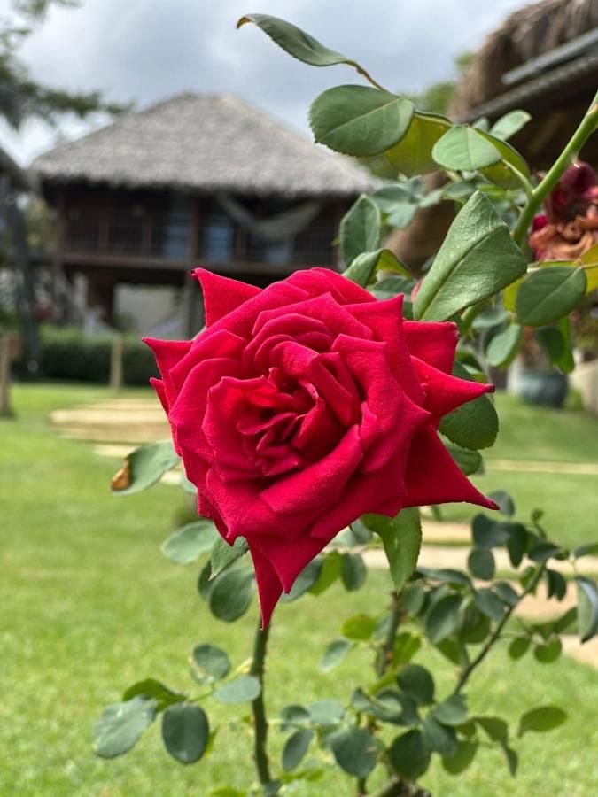 Pousada Casa Caju Bangalows