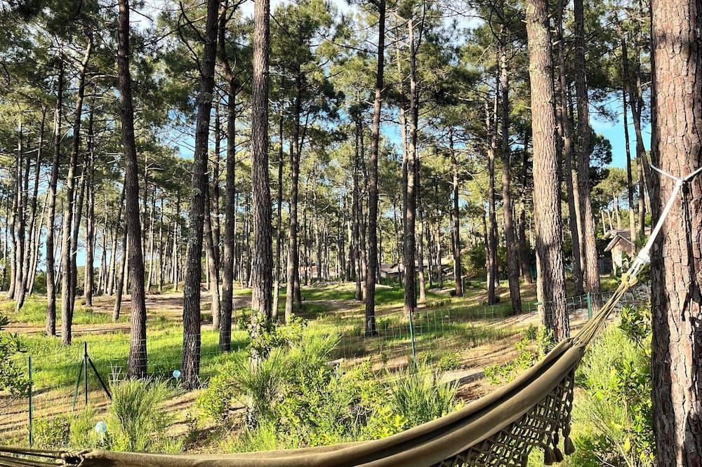 La Villa Des Pins Aquitaine - Lacanau visuel 2/5