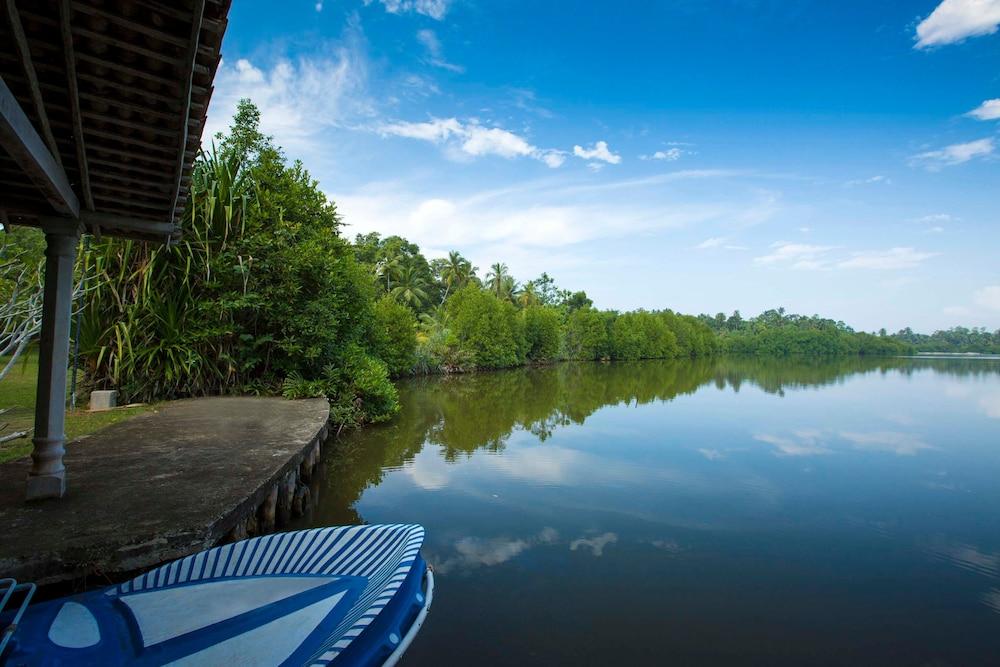 The River House
