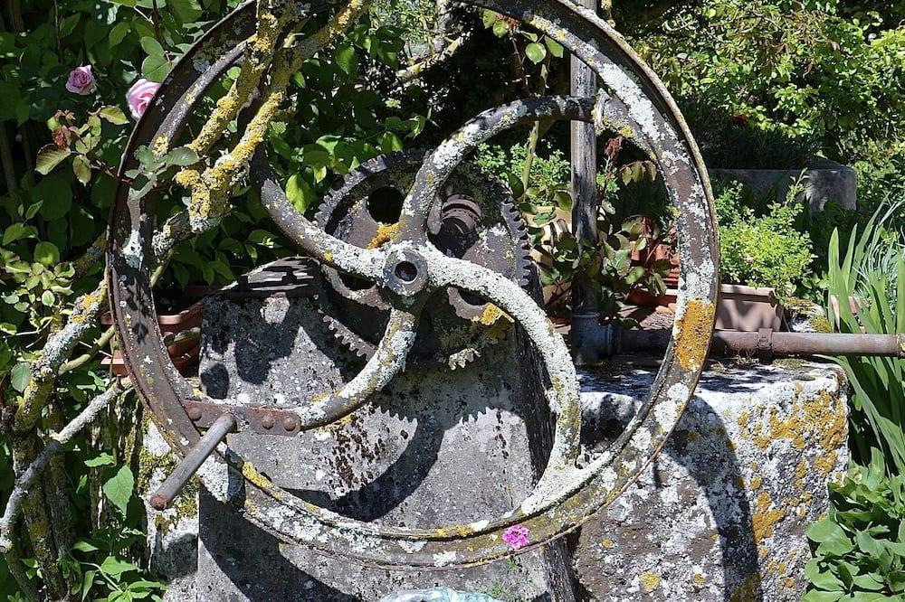 Le Vieux Noyer Poitou-Charentes - Jonzac visuel 3/5 Le Vieux Noyer Poitou-Charentes - Jonzac visuel 3/5