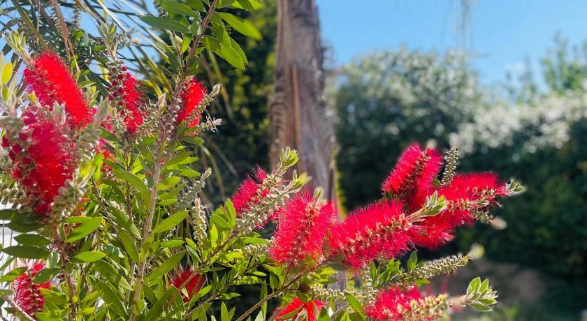 Au lagon de thau Languedoc-Roussillon - Frontignan visuel 3/5
