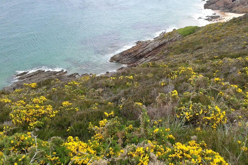 Les Palmiers Bretagne - Erquy visuel 2/5