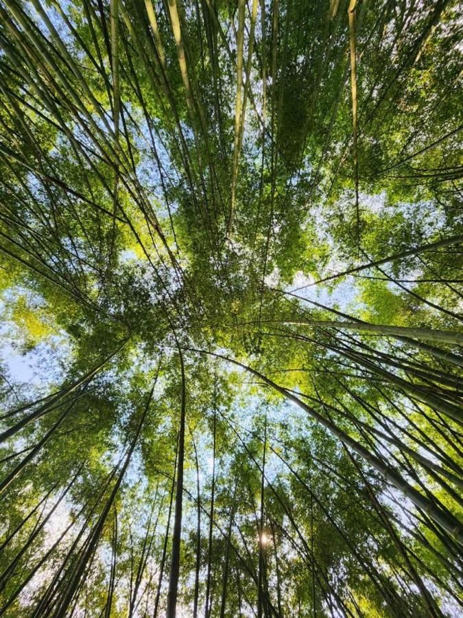 Hotel Cafetero Valparaíso