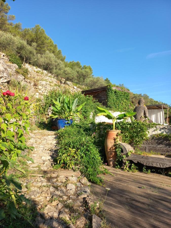 Un coin d'Asie en Provence Provence-Alpes-Côte d'Azur - Belgentier visuel 4/5 Un coin d'Asie en Provence Provence-Alpes-Côte d'Azur - Belgentier visuel 4/5