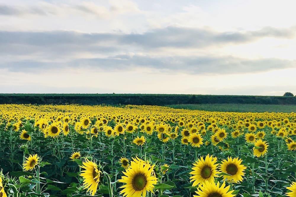Two Rooms in Residence Vacance Midi-Pyreneën - Sorèze visuel 4/5 Two Rooms in Residence Vacance Midi-Pyreneën - Sorèze visuel 4/5