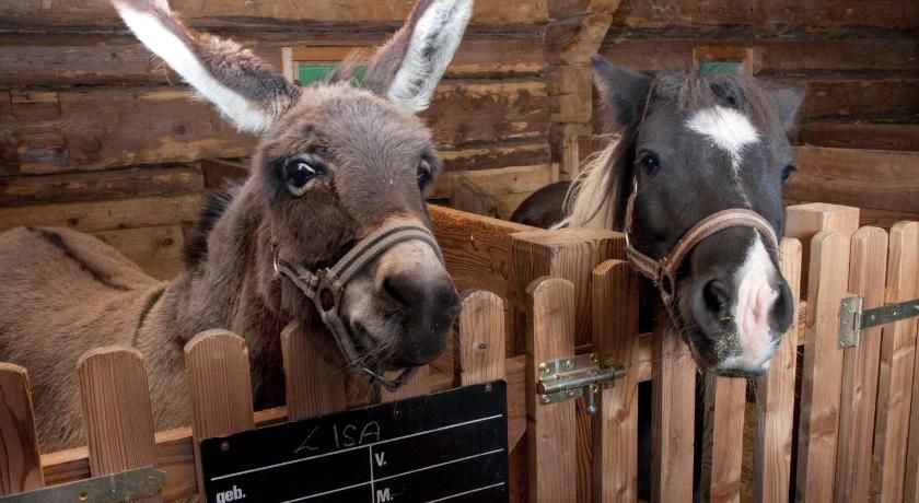 Der Unterschwarzachhof