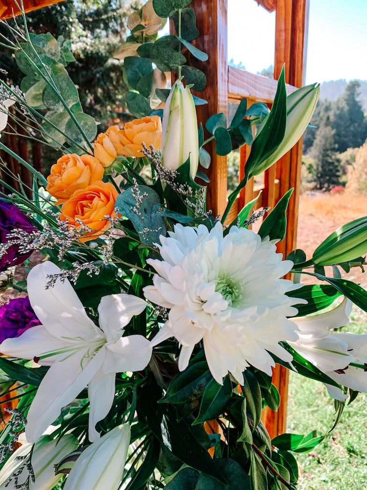 The Stavrand Russian River Valley