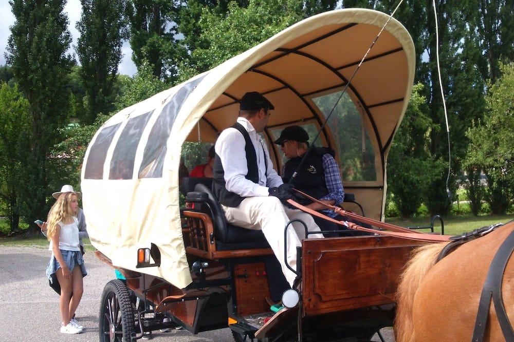 Gîte Le Pied à l'Etrier Elzas - Luttenbach-près-Munster visuel 2/5 Gîte Le Pied à l'Etrier Elzas - Luttenbach-près-Munster visuel 2/5