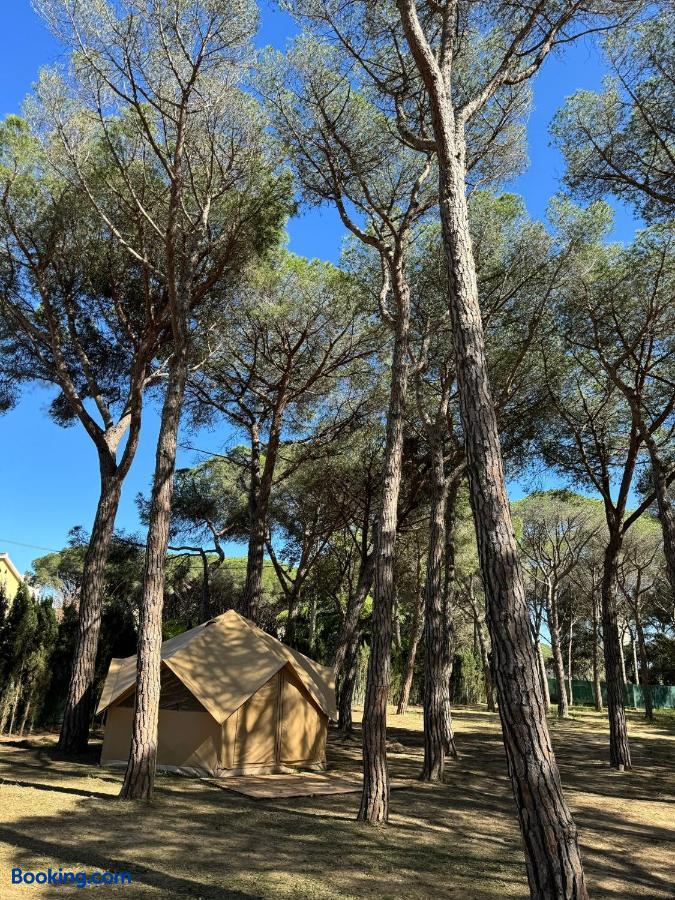 Sant Antoni de Calonge - 2 - campings