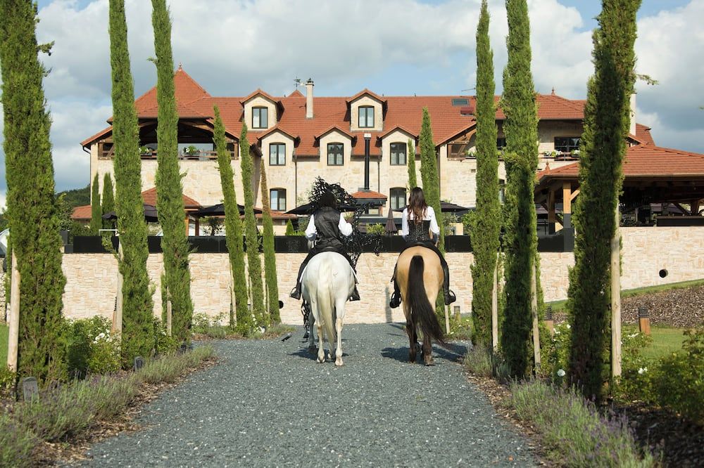 Le Domaine de la Klauss