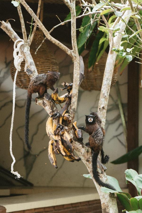 Villa Lu Amazon Ecolodge